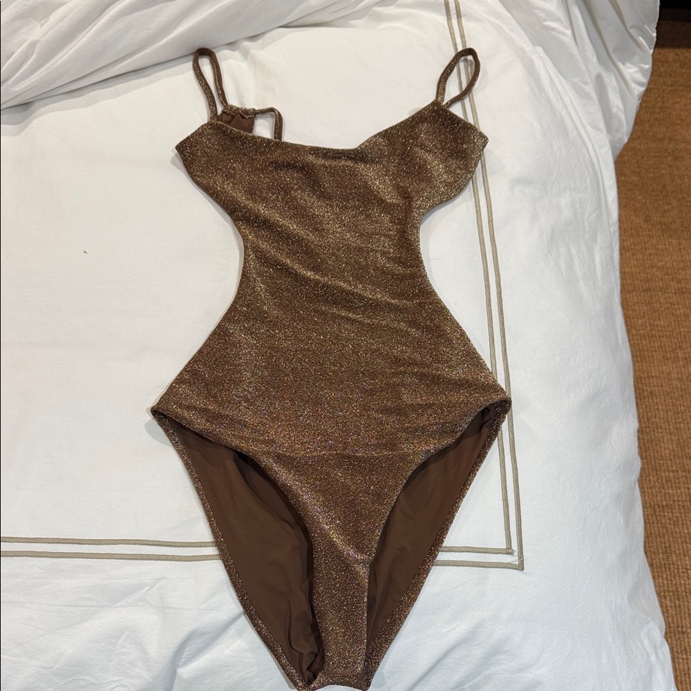 Sparkling Brown One Piece Swimsuit